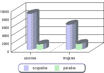 actividad
