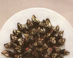 percebes